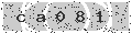 verify code