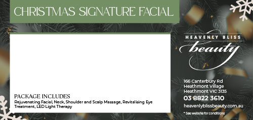 Christmas Signature Facial